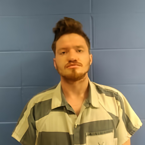 Mugshot of RICHARD RICHARDS