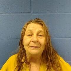 Mugshot of DAWN COLLINS
