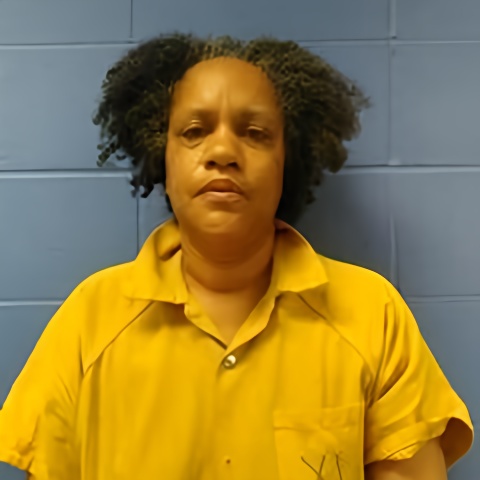 Mugshot of JUANITA WHITFIELD