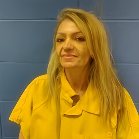 Mugshot of MANDY EVANS