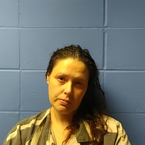 Mugshot of NIKKI EDWARDS