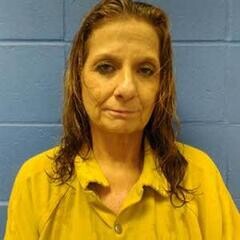 Mugshot of DEBRA HUFF