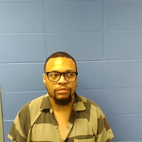 Mugshot of BRANDON MAYS