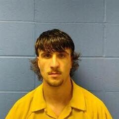 Mugshot of DAKOTA BROWN