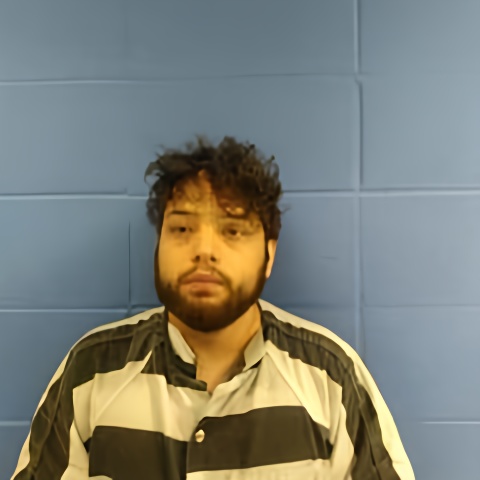 Mugshot of ERIC ALVAREZ