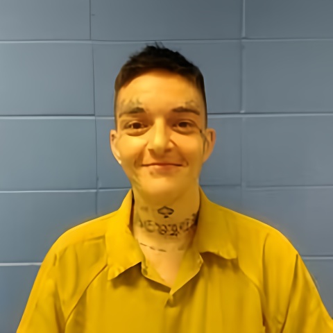 Mugshot of KYRA PHILLIPS