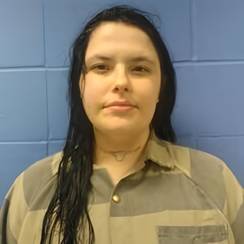 Mugshot of ASHLEY DEINES