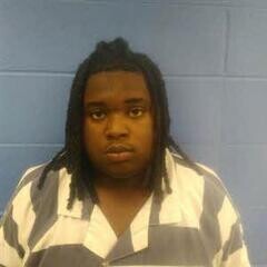 Mugshot of TYLER FARRIS