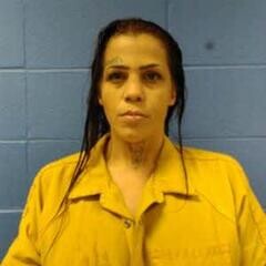 Mugshot of HALEY GAHLINGER