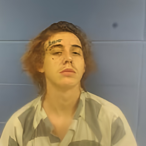 Mugshot of DEVON WEST