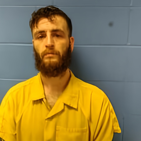 Mugshot of BLAINE MOSES