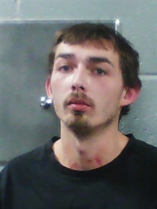 Mugshot of Anthony Ray Bush