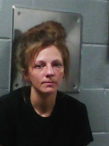 Mugshot of Michelle Lee Williams