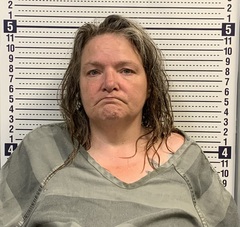 Mugshot of DANYELL LEWIS