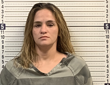 Mugshot of CASSEY BASSETT