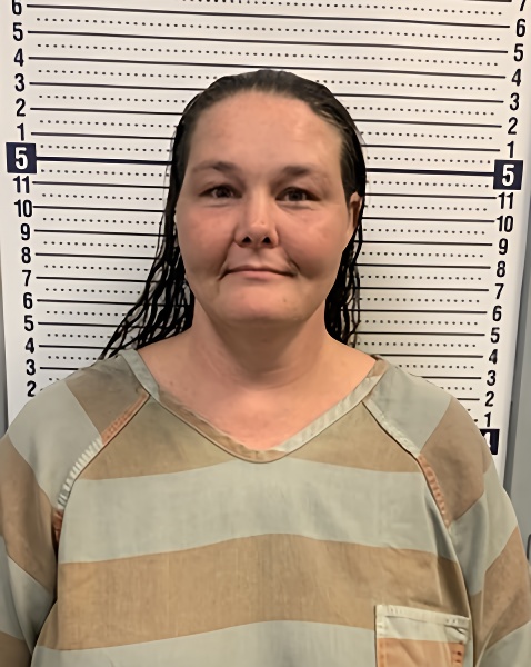 Mugshot of JENNIFER MORRISON