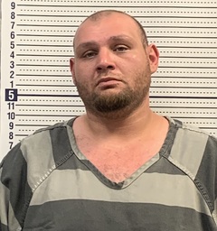 Mugshot of DAULTON ROSS