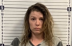 Mugshot of BRITTANY COX