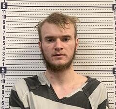 Mugshot of MICHAEL LYLES