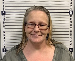 Mugshot of BRANDY LEISURE