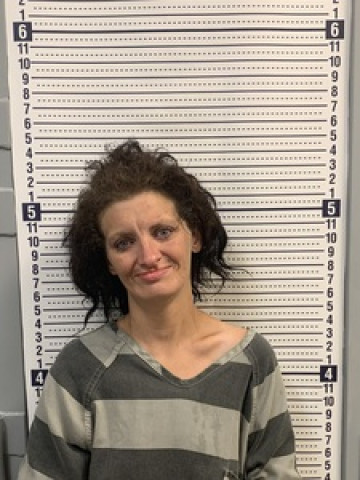 Mugshot of TIMBERLY MUSICK