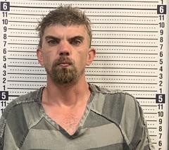 Mugshot of ROBERT DEW