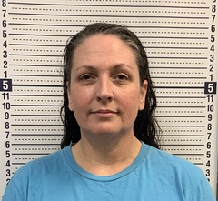 Mugshot of JODIE BASKIN