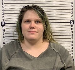 Mugshot of DEZAREE ROHRSCHEIB