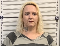 Mugshot of LISA PIPPINS