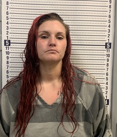 Mugshot of BRITTANY YOUNG