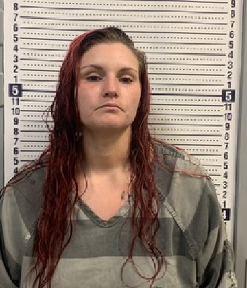 Mugshot of BRITTANY YOUNG
