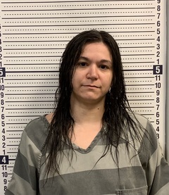 Mugshot of KRYSTAL LATIOLAIS