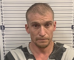 Mugshot of GABRIEL PIPPINS