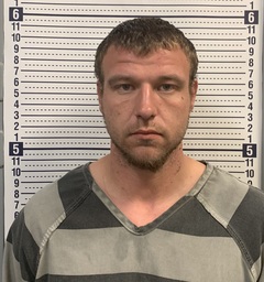 Mugshot of CHRISTOPHER HOLMES