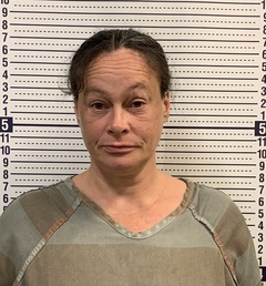 Mugshot of KAYLA HICKS