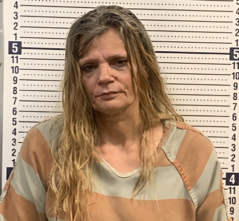 Mugshot of ALISA HOWARD
