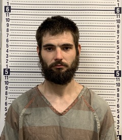 Mugshot of GERALD TIMMONS