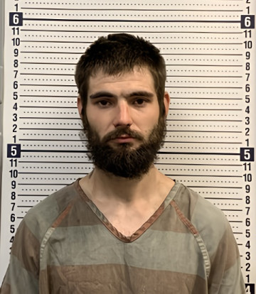 Mugshot of GERALD TIMMONS