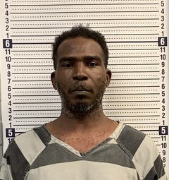 Mugshot of TREGINAL JONES
