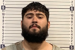 Mugshot of DIEGO OCANAS-GOMEZ