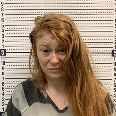 Mugshot of DANIELLE WILDE