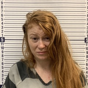 Mugshot of DANIELLE WILDE
