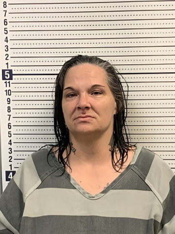 Mugshot of TRACEY MEDLEY