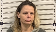 Mugshot of ERICA CLARK