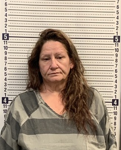 Mugshot of LINDA GRICE
