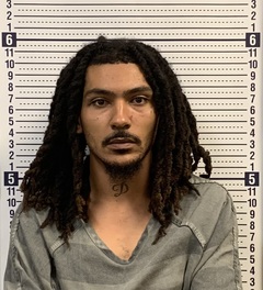 Mugshot of JADEN WEAVER