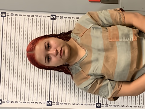 Mugshot of DULCE LOPEZ GONZALEZ