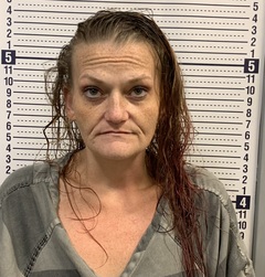 Mugshot of ELIZABETH THEIS