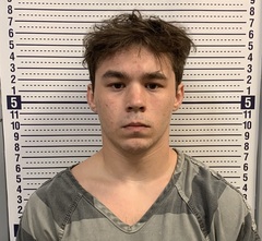 Mugshot of JASPER OWENS
