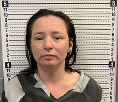 Mugshot of SHANNON HERRON
